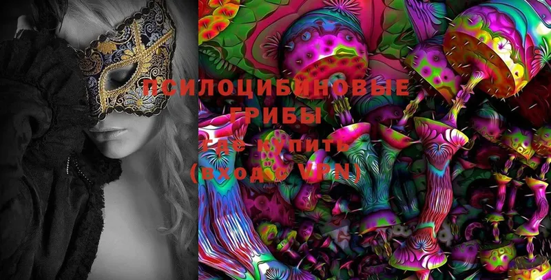 Псилоцибиновые грибы MAGIC MUSHROOMS  цены   Ветлуга 